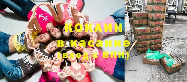 амф Алзамай
