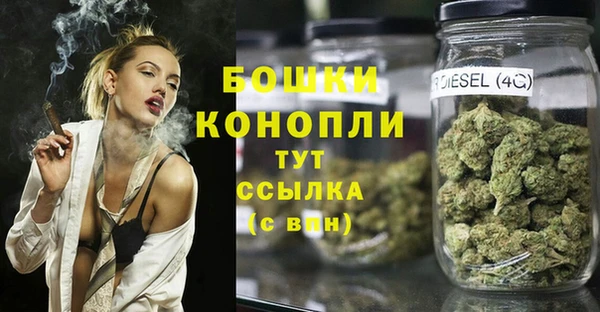 винт Алексин